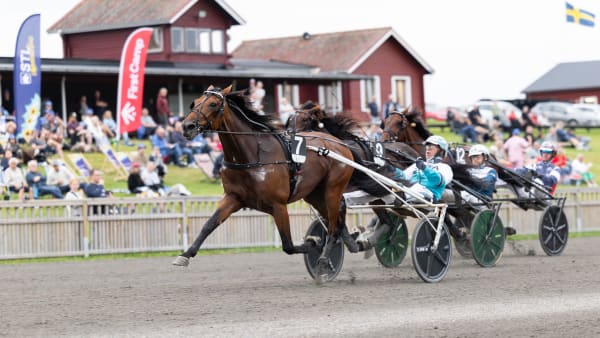 Foto: LENA EMMOTH / TR BILD