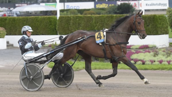 Foto: LARS JAKOBSSON / TR BILD