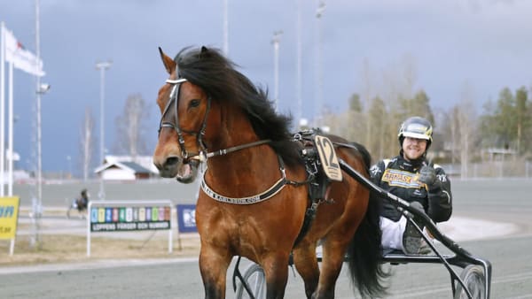 Foto: Maria Holmén/TR Bild