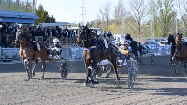 Foto: LARS JAKOBSSON / TR BILD