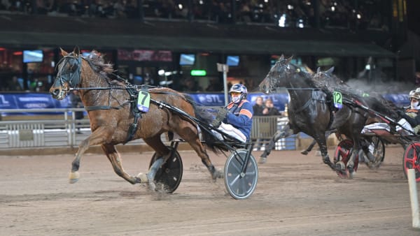 Foto: LARS JAKOBSSON / TR BILD