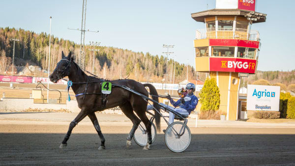 Foto: DAVID SCHREINER / TR BILD