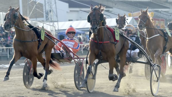 Foto: Lars Jakobsson/TR Bild