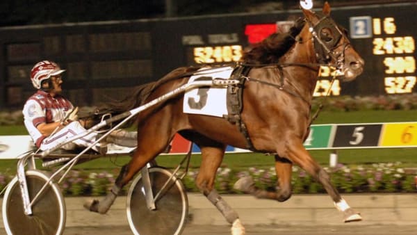 Foto: Stefan Melander/stalltz.se