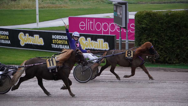 Foto:  Malin Heidenberg/Solvalla