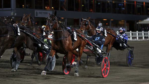 Foto: MATILDA ÖHRMAN / TR BILD