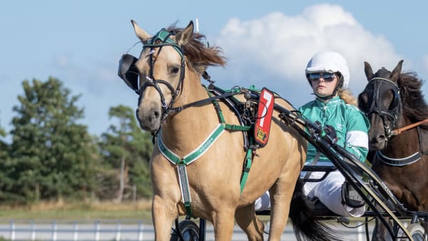 Foto: Thea Magnesten