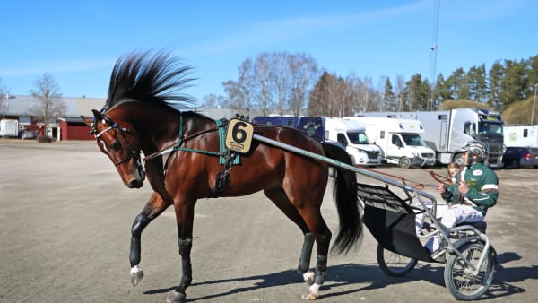 Foto: MARIA HOLMÉN / TR BILD