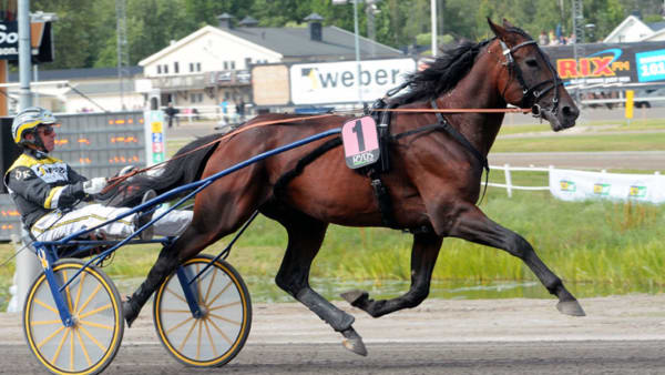 Foto: Adam Ström/stalltz.se