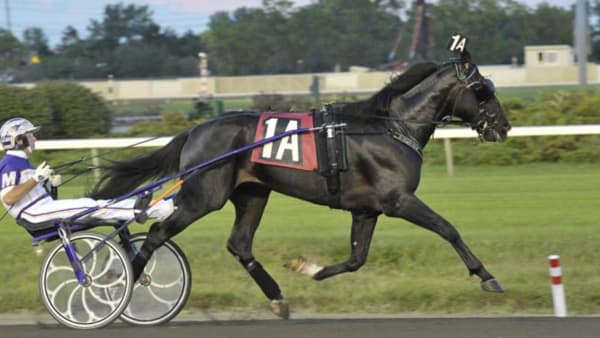 Foto: STEFAN MELANDER/STALLTZ.SE