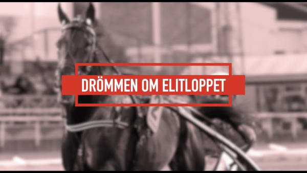 Drömmen om Elitloppet 2021: del 9