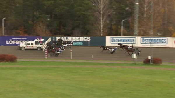 Familjen Arnengs Alberdi Wine vinner