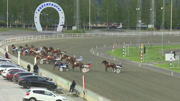 Jätteskräll av Wolhills Star.