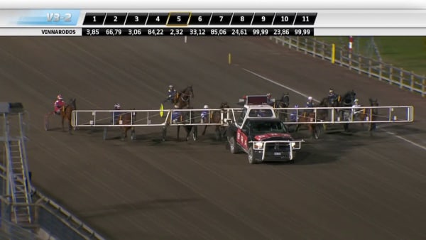 Namaste vann uttagningslopp till Drottning Silvias Pokal