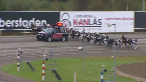 Not For Sale starkast på nytt.