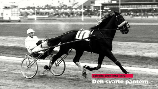 Ur arkivet: Den svarte pantern