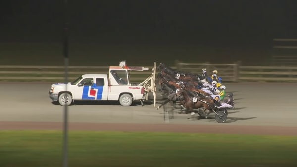 Tipsy Bee vinner Silverstoet