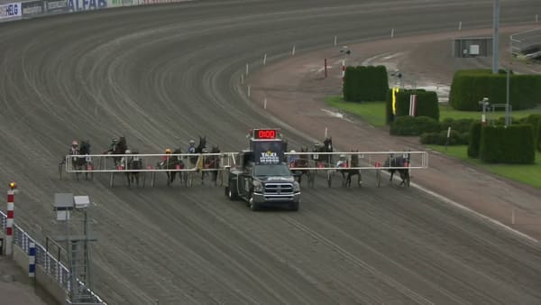 Här tar Eagle Eye Sherry hem Svenskt Travoaks