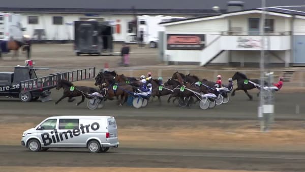 Alfa Lina en vinnare igen