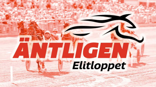 Äntligen Elitloppet 2025 – därför dominerar de franska hästarna