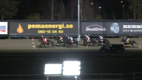 Sundbo Komet vann Jämtländskt montémästerskap