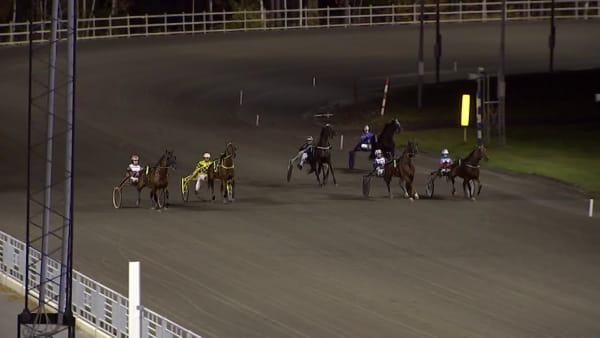 Mellby Galanga läcker – även för sulky