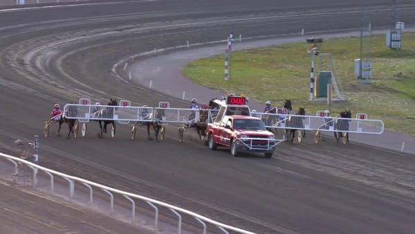 Namaste vinner på Jägersro den 11 augusti 2020