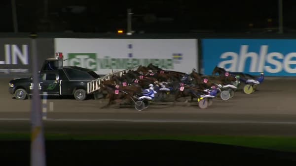 Disco Volante vann Nuncios lopp