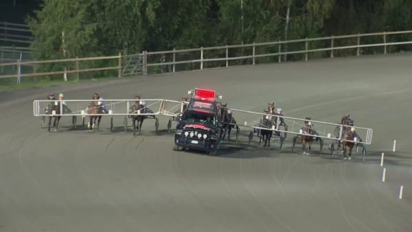 Daniel Wäjersten vinner med Onana Boko – kuskseger nr 1.000