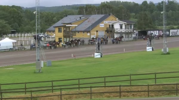 Se hemmaskrällen