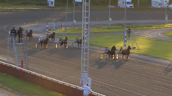 Stjärnblomster vinner på nytt svenskt rekord.