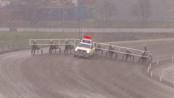 San Moteur galopp.