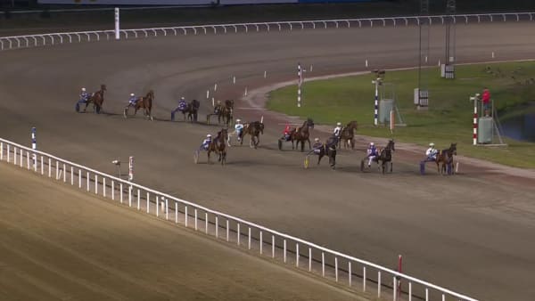 Malmö Stads Pris 2021