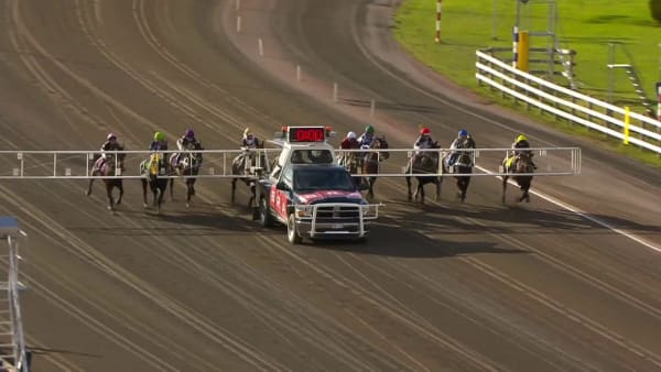 Gretzky Boko och Emilia Leo var bäst i montéryttar-SM