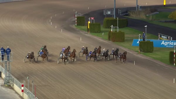 Embrace It vann på Solvalla