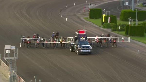 Här vinner Conrads Rödluva EM för ston