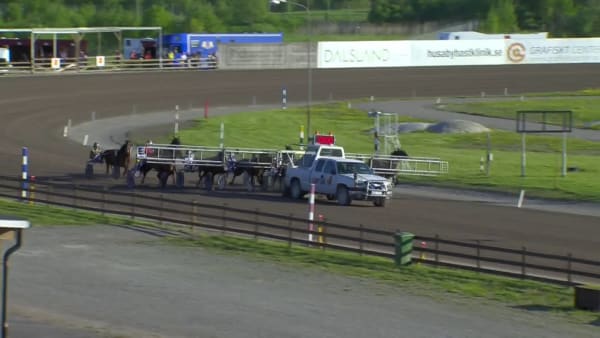 Staro Onyourmarks sveper till seger