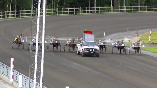 Alfa Lina slår svenskt rekord i uttagningarna till Derbystoet för kallblod