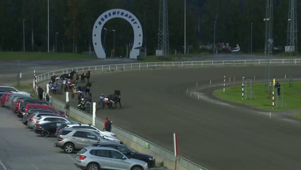 Banrekord av Guli Theo