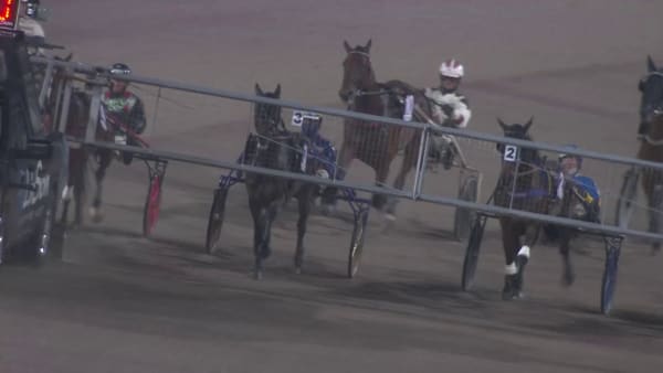 Robin Bakker vinner med Ninetta Bioko