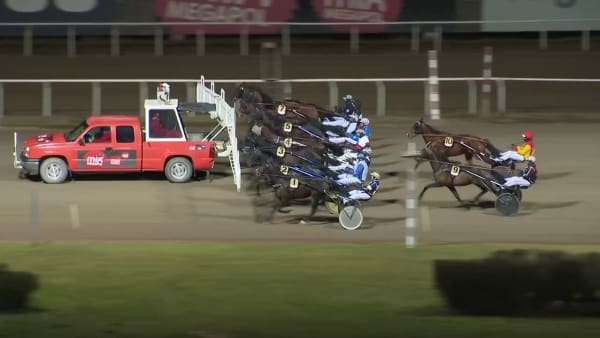 Wikki Stone avlägger maiden