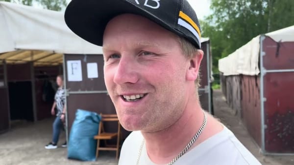 Oskar Kylin Blom kollar in hästarna inför elitauktionen.