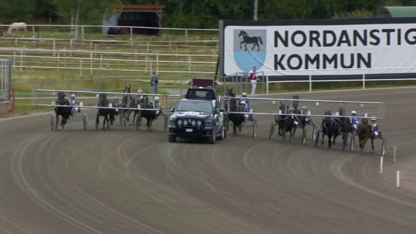 Silver Jossan vinner SM för kallblodiga ston den 12 september 2020