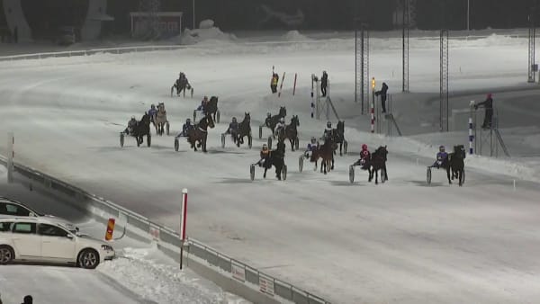 Stjärnstorm vinner Kalla Hästägarkannan – efter röda flaggan i starten