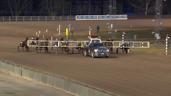 Jaguar Dreams överlägsna seger