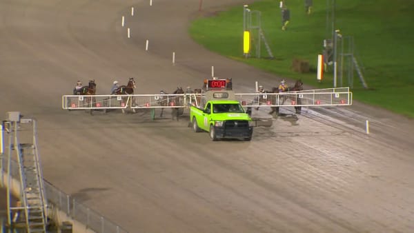 Melkkos nyförvärv starkast till slut