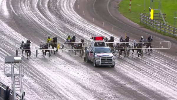 Linda Sedström skrällde i dam-SM tillsammans med Ulf Stenströmer-tränade Rally Gunnar.