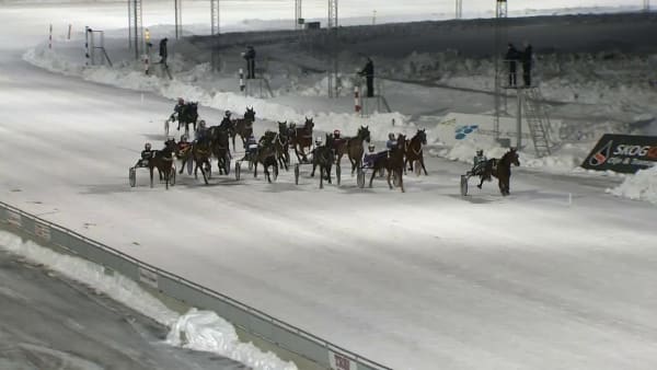 Lopp 6 på Bodentravet 