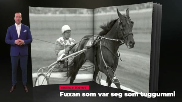 Ur arkivet: Eileen Eden och Elitloppet