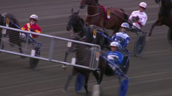 Sundsvall Open Trot 2024